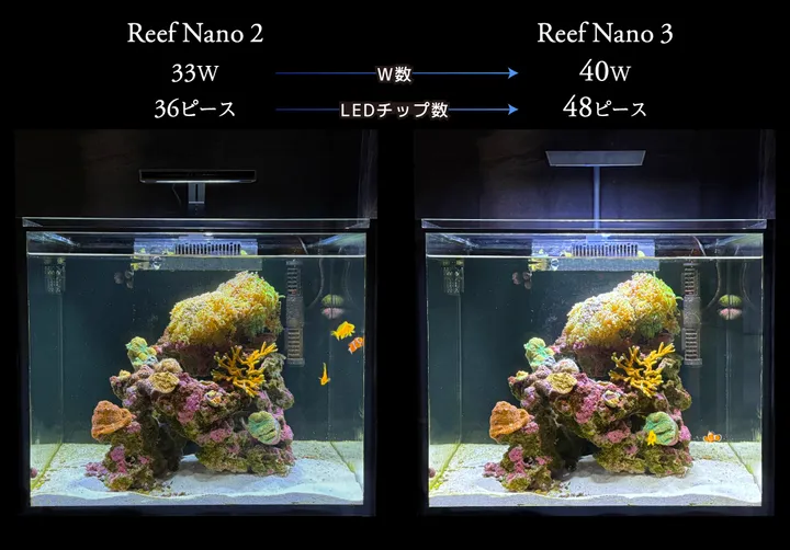 Reef Nano 3 LED