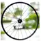 SHIMANO WH-MT601-TL-R 登山車無內胎系統後輪組12x142 27.5吋/29er內選