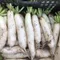 享家蔬果園-美濃白玉蘿蔔(4台斤)★含運組★