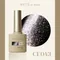 ARTiS di Voce 貓眼甲油膠8g CE043