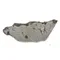 超光鎳鐵隕石切片12~16G(隨機出貨)