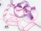 <特惠套組> 翩翩起舞的粉紫蝶套組  緞帶套組 禮盒包裝 蝴蝶結 手工材料