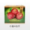 【佳冬青農】楊采靜-南洋種蓮霧禮盒(4台斤/8台斤)(含運)