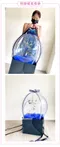 鈔票氣球：永生花驚喜氣球禮物組-經典暮光藍 [DW05350001]