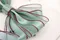 優雅扇舞蝴蝶結 (Elegant Fan-shaped Bow)｜淺藍｜淺米｜淺綠｜裝飾｜緞帶用途｜春天｜古典｜雪紗
