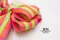 春天條紋蝴蝶結 (K1204-6/Spring Stripes Butterfly Bow) ｜手作｜布置｜裝飾｜緞帶用途｜綠色
