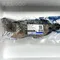 【中華民國全國漁會】龍虎石斑(500克x3尾/組)(冷凍含運)