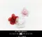 AF568 五瓣雪紗玫瑰小花  (Mini-Rose)