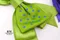 經典圓點蝴蝶結 (Classic Dotty Bow)｜圓點｜深紫｜寶藍｜裝飾｜緞帶用途｜春天｜古典｜綠色