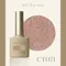 ARTiS di Voce 亮粉甲油膠8g CT071