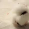 袋物