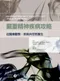 嚴重精神疾病攻略:從醫療觀察、疾病共存到養生(Health and Wellness in People Living with Serious Mental Illness 1e)