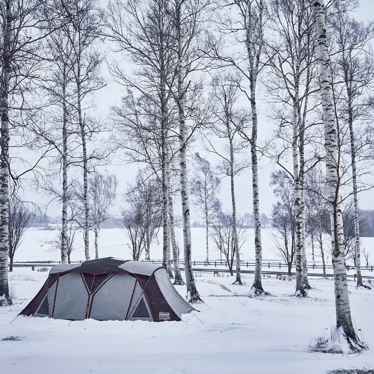 現貨 Coleman 達人系列2room Cocoon Iii Cc3 Coleman帳