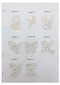 A1837 香檳英文蕾絲  (Champagne Lace Decor)