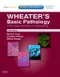 (舊版特價-恕不退換)Wheaters Basic Pathology: A Text， Atlas and Review of Histopathology (IE) With STUDENT CONSULT Onli