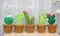 [DIY組合包] 仙人掌多肉植物盆栽-預購商品｜不織布｜DIY材料包｜療癒擺飾