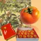 摩天嶺甜柿(6A15粒/盒)★含運組★