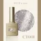ARTiS di Voce 亮粉甲油膠8g CT001