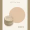 ARTiS di Voce 彩色凝膠2g 003
