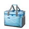 [ Coleman ]  XTREME保冷袋-15L/25L/35L│ CM-22212/CM-22238/CM-22215 收納袋 保鮮袋