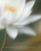ARTiS di Voce x GANON 香氛保濕護手霜 - 會津芙荷