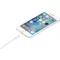 Apple - 蘋果原廠 Lightning 對 USB 連接傳輸、充電線 A1480 - 1米｜iPhone、iPad、AirPods