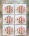 ARTiS di Voce 彩色甲油膠8g 050