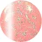 ageha gel Opti Color 彩色凝膠4-15