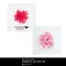 AF555 五色透感玫瑰花朵配件 5入/組  (Rose Décor)