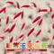 S031 雙色編織鐵絲繩索 2mm  (S031 Bi-colored Wired Braid -2mm)