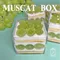 JUICY JEWEL BOX 綜合水果蛋糕盒子禮盒｜Juicy Jewel 就是這-甜點盒子