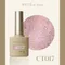 ARTiS di Voce 亮粉甲油膠8g CT017
