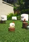 Dinotaeng－Mini Marsh on the field（Plush Doll）：玩偶