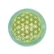 超光生命之花碟形水晶3cm - 綠東菱玉(礦石脈輪珠)