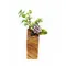 magokoro橄欖木小花器