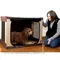 美國PET GEAR．方型舒適摺疊寵物屋【大-TL5036SA】適合35kg以下的寵物