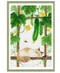 瓜藤眠貓