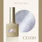 ARTiS di Voce 貓眼甲油膠8g CE030