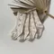 典雅碎花中長襪（4入）