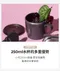 輕奢不鏽鋼含蓋兒童訓練杯250ml 2Y+