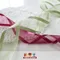 K74 中間雪紡雙邊尼龍緞帶 38mm (K74 Satin & Organza Ribbon -38mm)