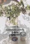Guatemala La Bella Geisha 瓜地馬拉 碧雅莊園