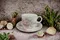 Royal Doulton - Carmel 茶杯組