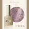 ARTiS di Voce 亮粉甲油膠8g CT006
