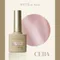 ARTiS di Voce 貓眼甲油膠8g CE114