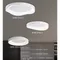 【鹿屋燈飾】DHW-3761~3763-2 幾何不規則LED 吸頂燈 40W/50W 遙控無極調光 臥室燈 現代簡約 鵝卵石造型燈