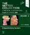 The Netter Collection of Medical Illustrations Volume 4: Integumentary System
