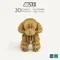 JIGZLE ® 3D-紙拼圖- 貴賓犬