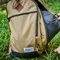 [ Coleman ] 美國經典25L-沙漠黃｜後背包 機能包 登山包 筆電包 CM-98833
