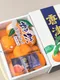 免運!!日本佐賀縣產糖津小蜜柑(12~15入)-獨立訂單 請勿併單!!